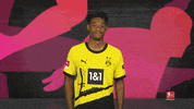 Borussia Dortmund Thumbs Up GIF by Bundesliga