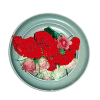 Really Like You Cooking Sticker by Anja Kotar