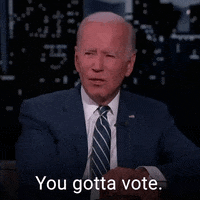 Voting Joe Biden GIF by The Democrats