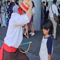 Monkey D Luffy Shanks GIF