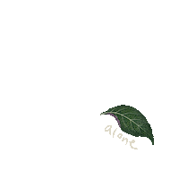 thewokestudio alone solo growth pun Sticker