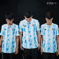 Argentina Fenc GIF by FIFA
