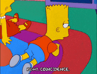 bart simpson episode 13 GIF