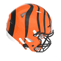 Who Dey Cincinnati Sticker by Riddell Sports