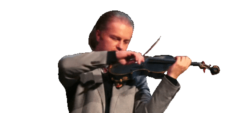 Singer Violin Sticker by HlasCeska