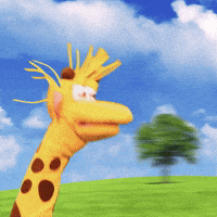 Giraffas alegria felicidade diversao amizade GIF