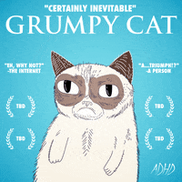 animation domination high-def lol GIF by gifnews