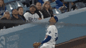 Major League Baseball Sport GIF by MLB