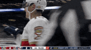 Ice Hockey Sport GIF by NHL