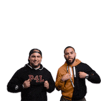 P4L Sticker by Emile Machado