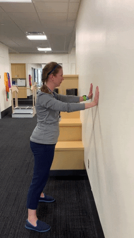 TRIAGiphy giphygifmaker GIF