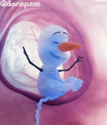 Baby Ice GIF