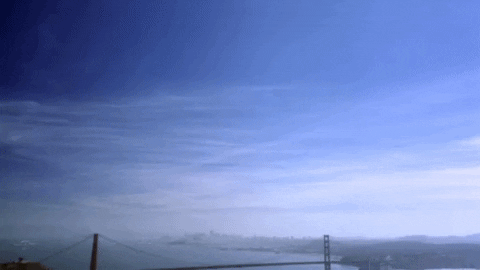 san francisco water GIF by The Room