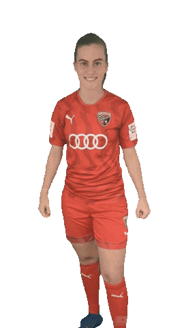 schanzerinnen giphyupload frauenfussball nichtohnemeinemädels schanzerinnen Sticker