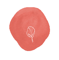 BexleyDesigns flower flowers red rose red flower Sticker