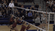 Upper Iowa GIF by UIUPeacocks