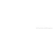 Meme Birthday GIF
