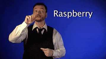sign language raspberry GIF by Sign with Robert