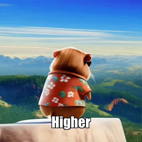 Wisdom Perspective GIF by Guinea Gambino