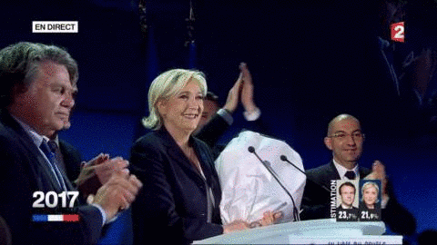 marine le pen GIF by franceinfo