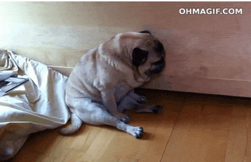 sleepy GIF