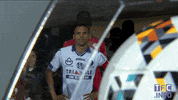ligue 1 soccer GIF by Toulouse Football Club