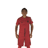 Indian Football Sticker by Indian Super League