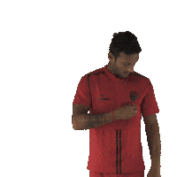 Indian Football Sticker by Indian Super League