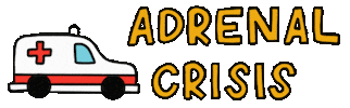 Rare Disease But You Dont Look Sick Sticker by Addison's Disease Self Help Group