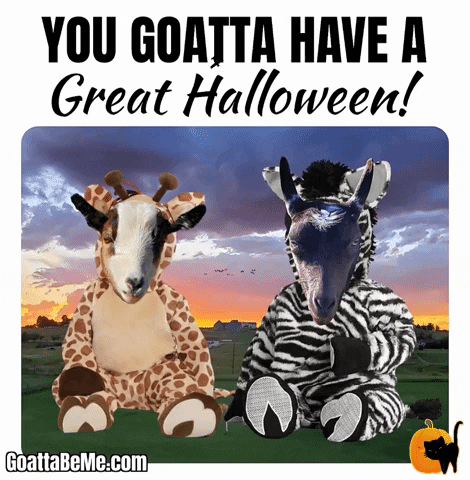 Pets Happy Halloween GIF by Goatta Be Me Goats! Adventures of Java, Toffee, Pumpkin and Cookie!!