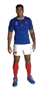 France Ok Sticker by Rugby World Cup