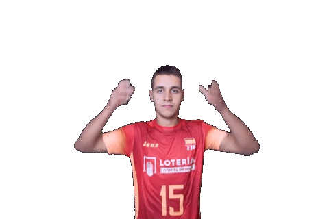 Volleyball Sticker by RedLynxes