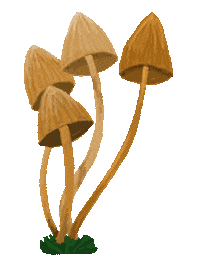 RianneRoosen fall autumn mushroom toad Sticker