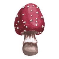 Herbst Toadstool Sticker by Lilies Berlin