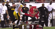 Pittsburgh Steelers GIF by NFL