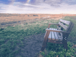lemondrop_social sky alone peaceful bench GIF