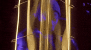 music video GIF by Angelique Kidjo