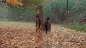 Fall Leaves GIF by Preston Pablo