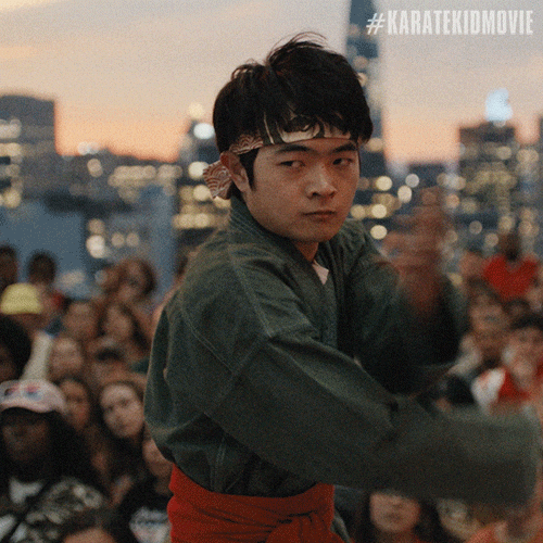 Karate Kid Fight GIF by Sony Pictures