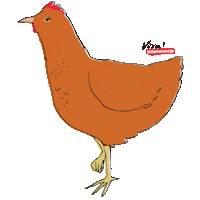 Save Animals Sticker by Fundacja Viva!