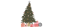 Merry Christmas Sticker