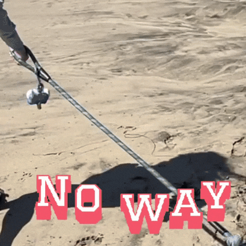 No Way Corgi GIF