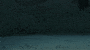 Somos Osos Huir GIF by Cartoon Network EMEA