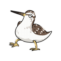Firuo_drawingbirds wader 鷸鳥 鷹斑鷸 wood sandpiper Sticker