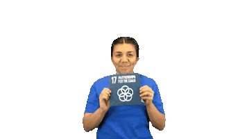 Partnerships Unv Sticker by UN Volunteers