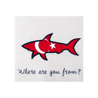 Flag Shark Sticker by Paul&Shark