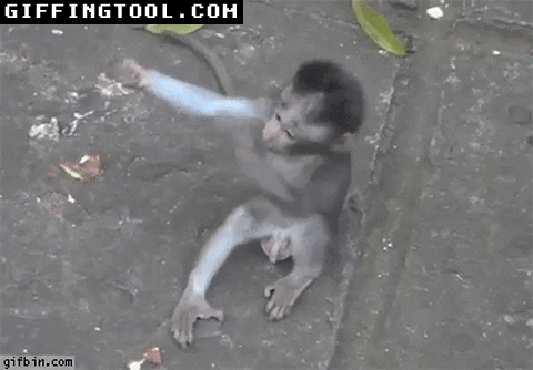 giphyupload GIF