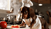 Dog Cooking GIF