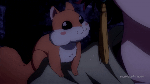 pet squirrel GIF by Funimation