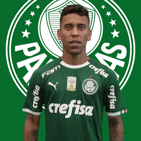 Palmeiras giphyupload love heart soccer GIF